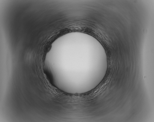 X0000110321297200905211157