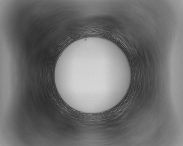 X0000110321298200905211157