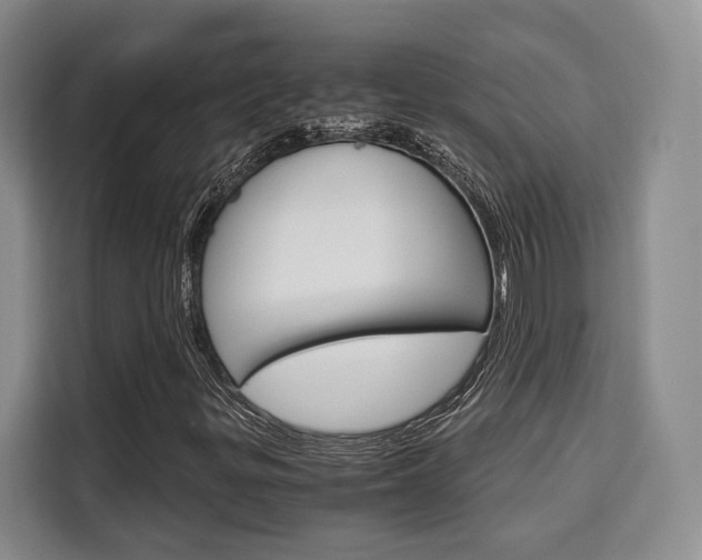 X0000110321299200905211157