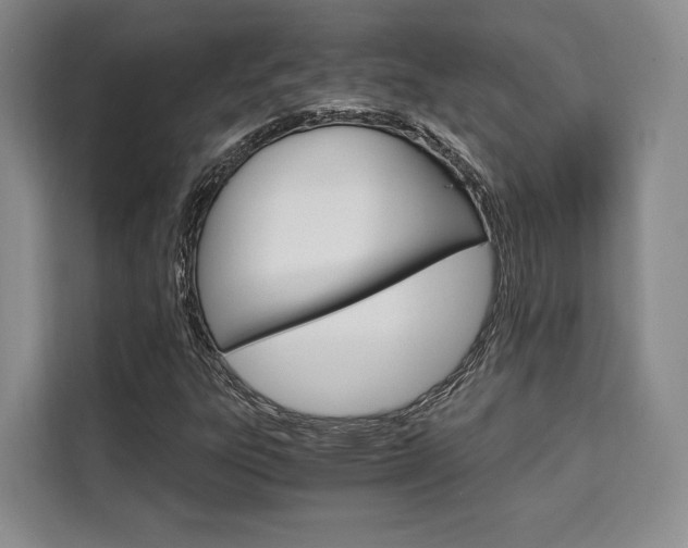 X0000110321303200905211157