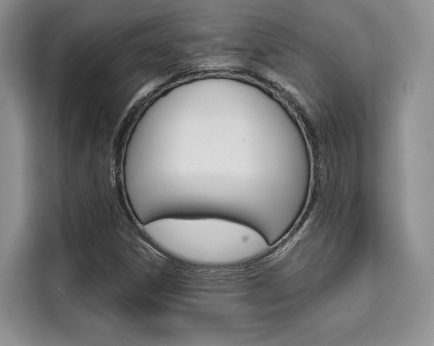 X0000110321306200905211157