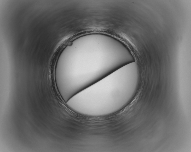 X0000110321307200905211157