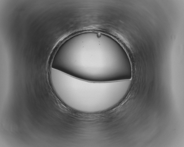 X0000110321308200905211157
