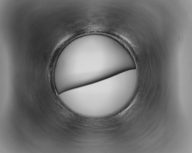 X0000110321309200905211157