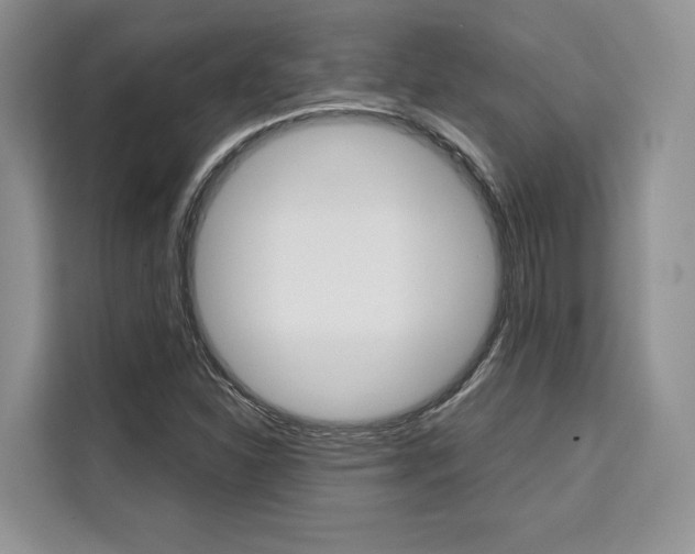 X0000110321310200905211157