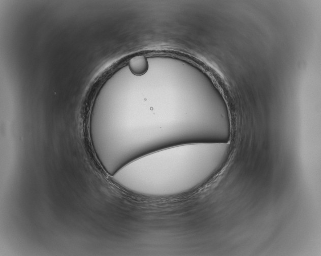 X0000110321311200905211157