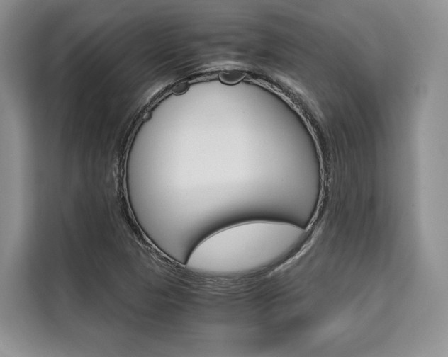 X0000110321313200905211157