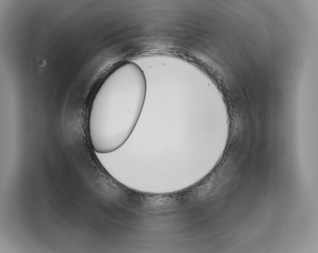 X0000110321314200905211157