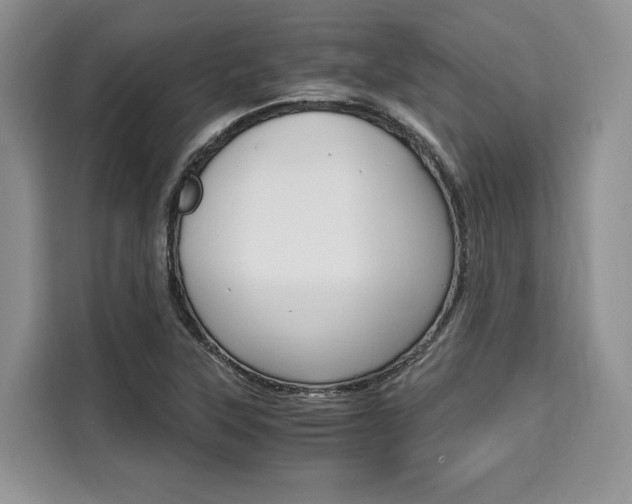 X0000110321315200905211157