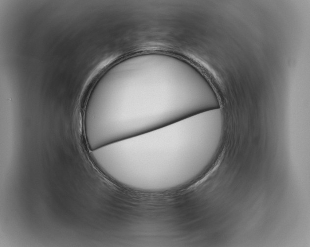 X0000110321317200905211157