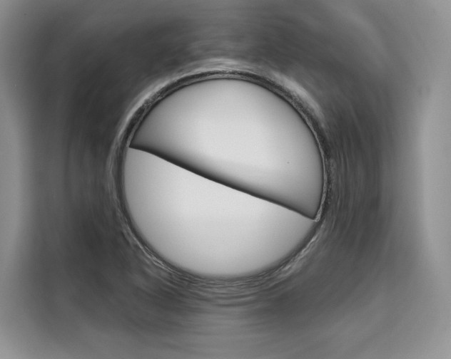 X0000110321318200905211157