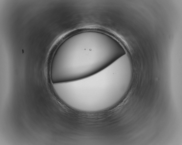 X0000110321319200905211157