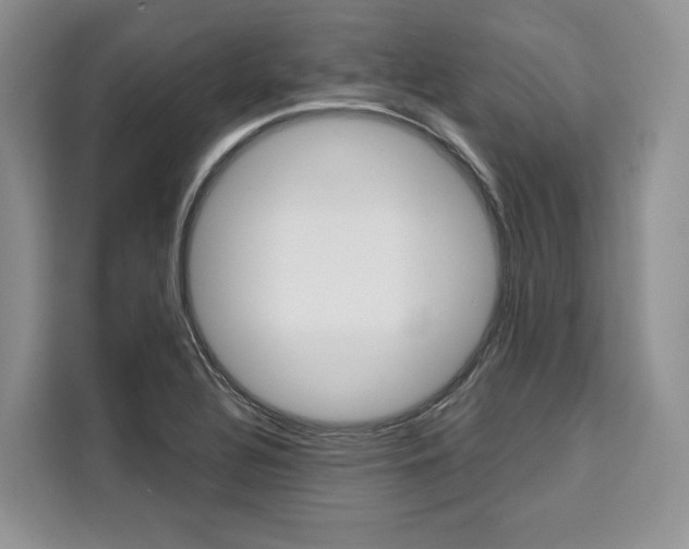X0000110321320200905211157