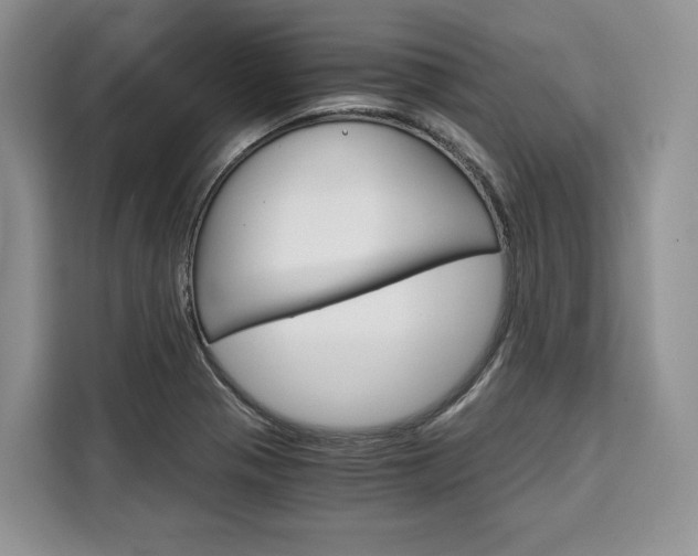 X0000110321321200905211157