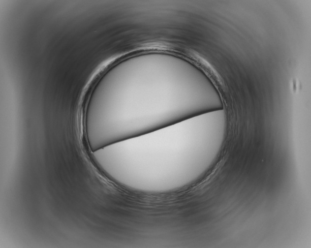 X0000110321323200905211157