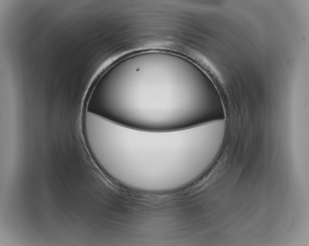 X0000110321324200905211157