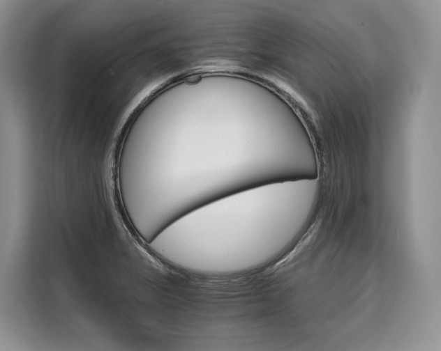 X0000110321325200905211157