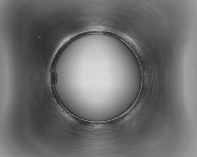 X0000110321326200905211157