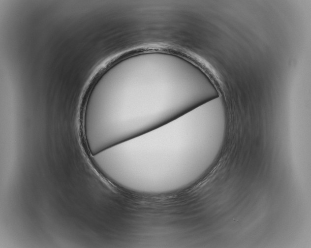 X0000110321327200905211157