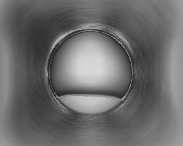 X0000110321328200905211157