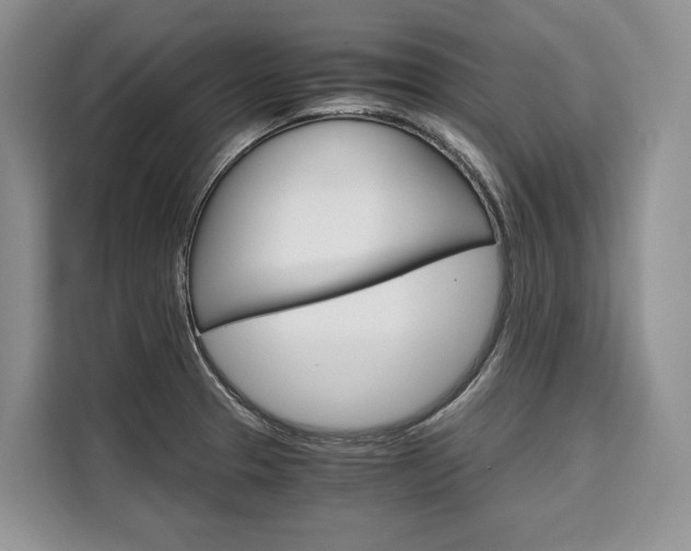 X0000110321329200905211157
