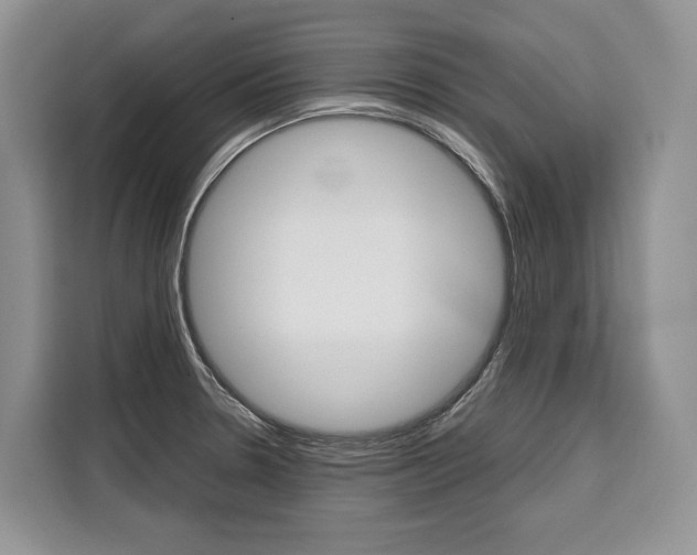 X0000110321330200905211157