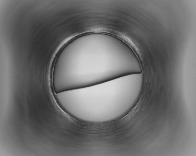X0000110321331200905211157