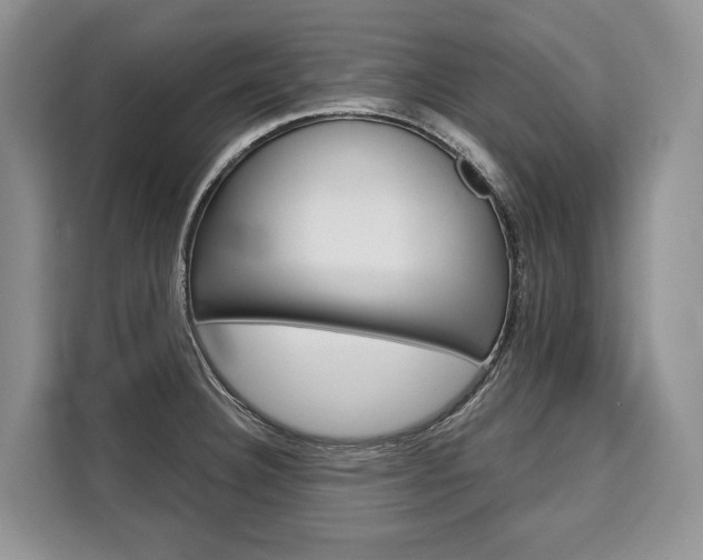 X0000110321332200905211158