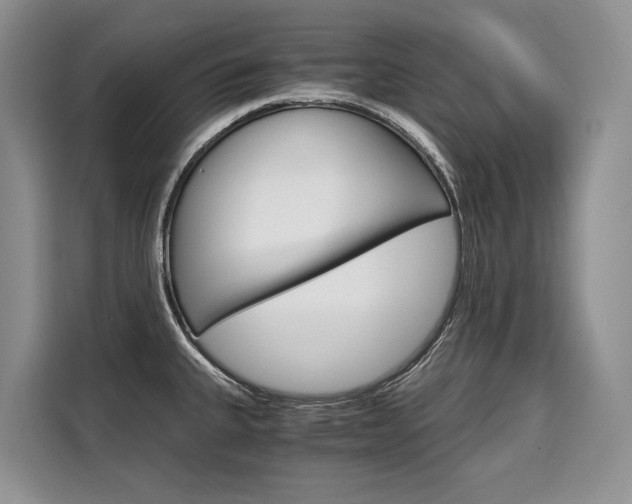 X0000110321335200905211158