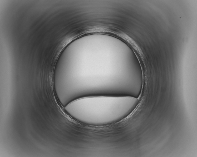 X0000110321337200905211158
