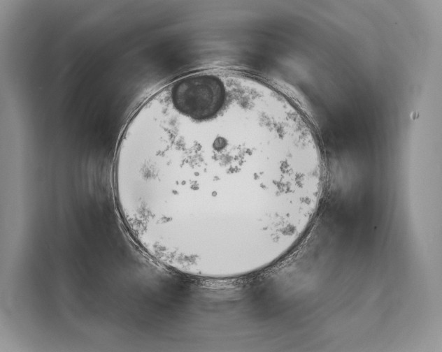 X0000110321338200905211158