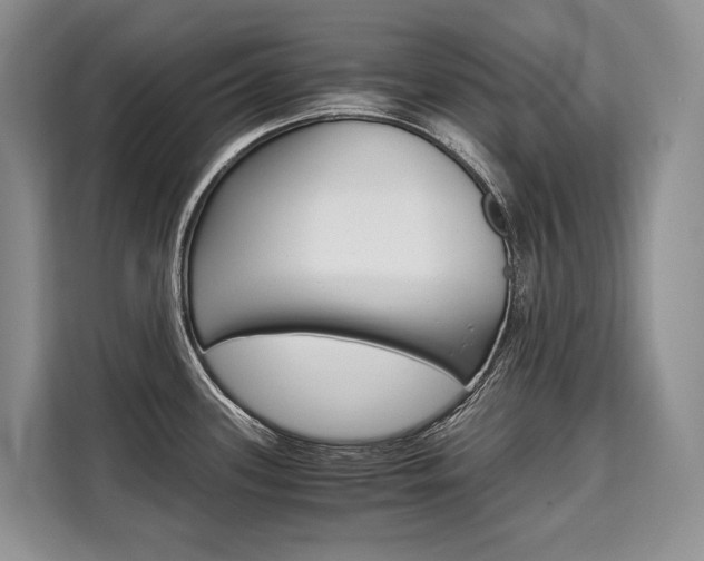 X0000110321339200905211158