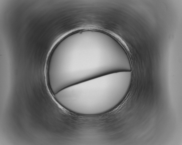 X0000110321343200905211158