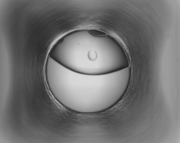 X0000110321344200905211158