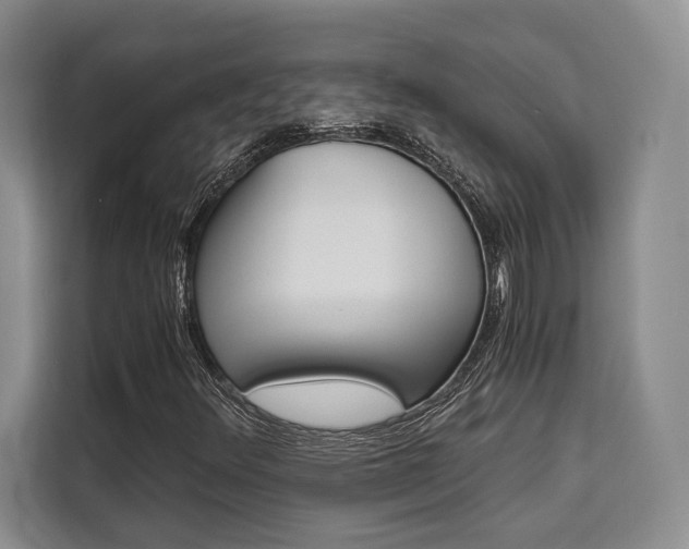 X0000110321348200905211157