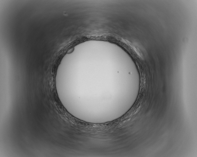 X0000110321350200905211157