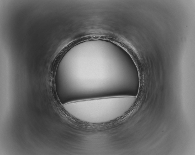 X0000110321352200905211157