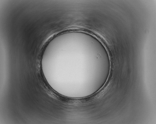 X0000110321355200905211157