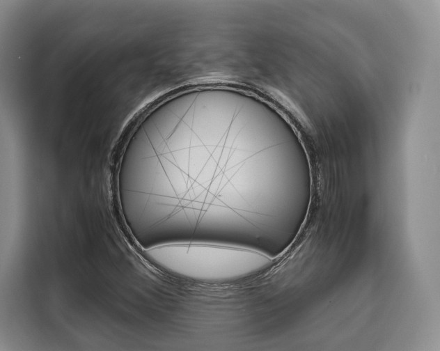 X0000110321356200905211157