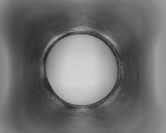 X0000110321358200905211157