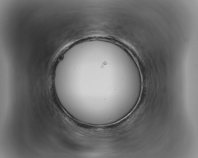 X0000110321359200905211157