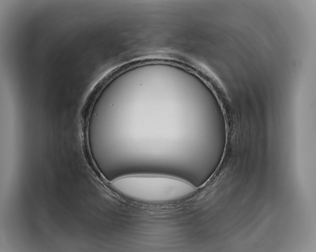 X0000110321360200905211157