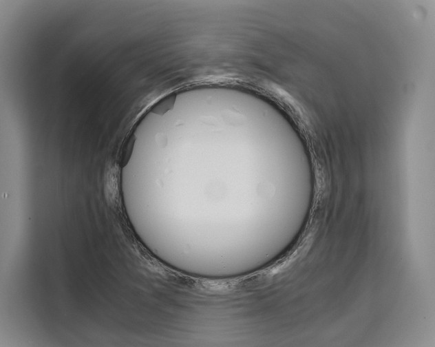 X0000110321361200905211157