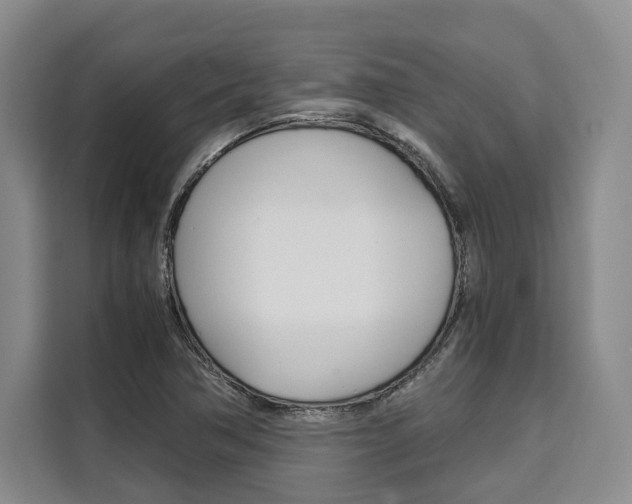 X0000110321362200905211157