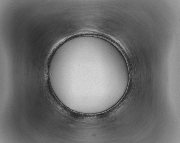 X0000110321363200905211157