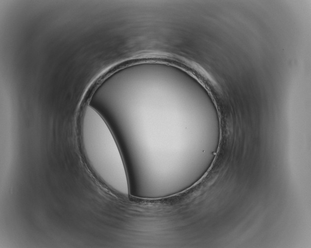 X0000110321364200905211157