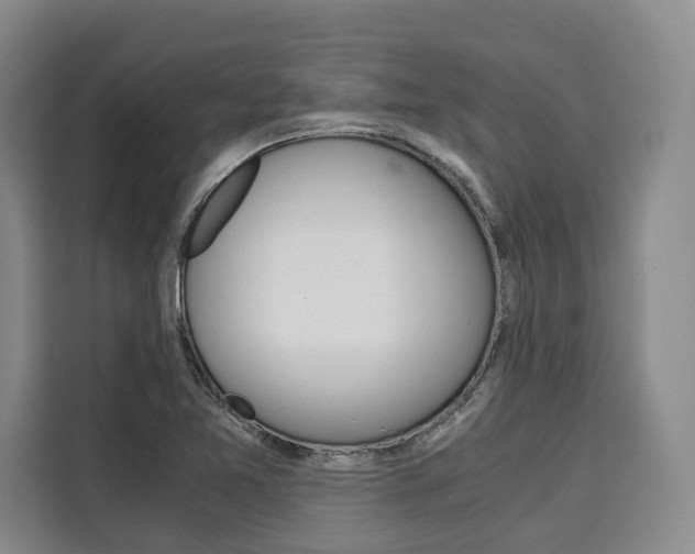 X0000110321365200905211157