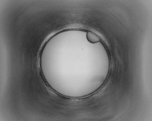 X0000110321366200905211157