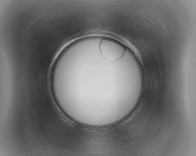 X0000110321368200905211157