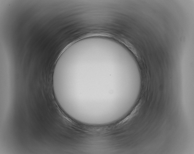X0000110321369200905211157